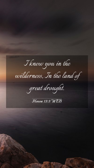Picture 03 - Hosea 13:5 WEB Mobile Phone Wallpaper - I knew you in the wilderness, In the land of - Mobile Bible Verse Wallpaper