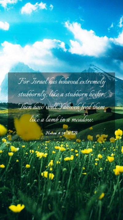 Picture 03 - Hosea 4:16 WEB Mobile Phone Wallpaper - For Israel has behaved extremely stubbornly, like - Mobile Bible Verse Wallpaper
