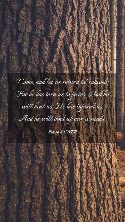 Picture 03 - Hosea 6:1 WEB Mobile Phone Wallpaper - 