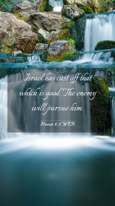 Picture 03 - Hosea 8:3 WEB Mobile Phone Wallpaper - Israel has cast off that which is good. The enemy - Mobile Bible Verse Wallpaper