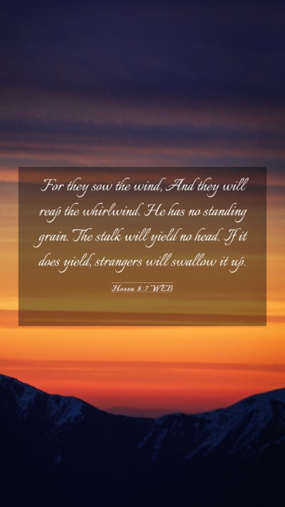 Picture 03 - Hosea 8:7 WEB Mobile Phone Wallpaper - For they sow the wind, And they will reap the - Mobile Bible Verse Wallpaper