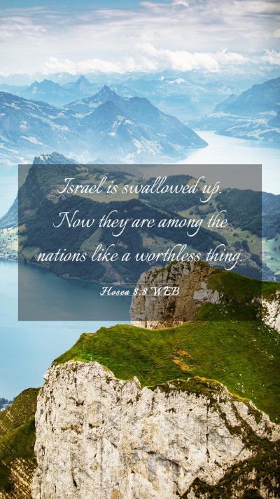 Picture 03 - Hosea 8:8 WEB Mobile Phone Wallpaper - Israel is swallowed up. Now they are among the - Mobile Bible Verse Wallpaper