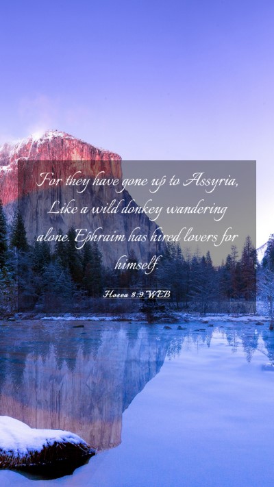 Picture 03 - Hosea 8:9 WEB Mobile Phone Wallpaper - For they have gone up to Assyria, Like a wild - Mobile Bible Verse Wallpaper