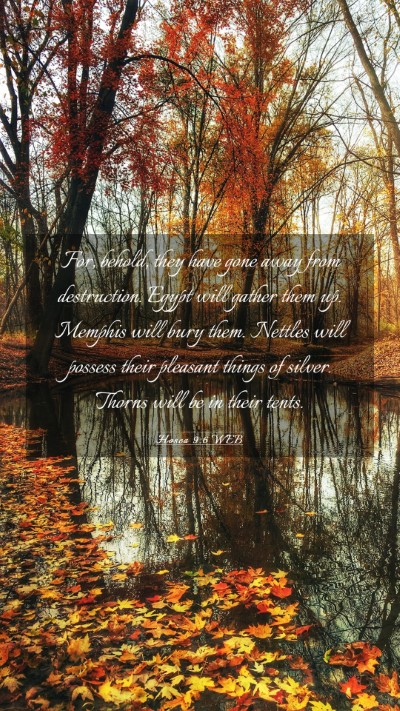 Picture 03 - Hosea 9:6 WEB Mobile Phone Wallpaper - For, behold, they have gone away from - Mobile Bible Verse Wallpaper