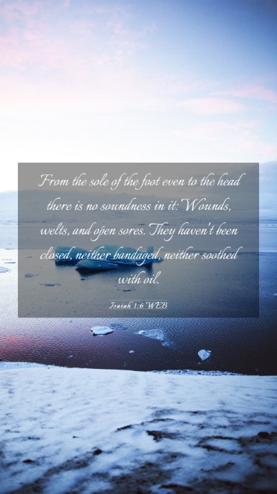 Picture 03 - Isaiah 1:6 WEB Mobile Phone Wallpaper - From the sole of the foot even to the head there - Mobile Bible Verse Wallpaper