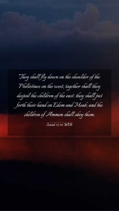 Picture 03 - Isaiah 11:14 WEB Mobile Phone Wallpaper - They shall fly down on the shoulder of the - Mobile Bible Verse Wallpaper