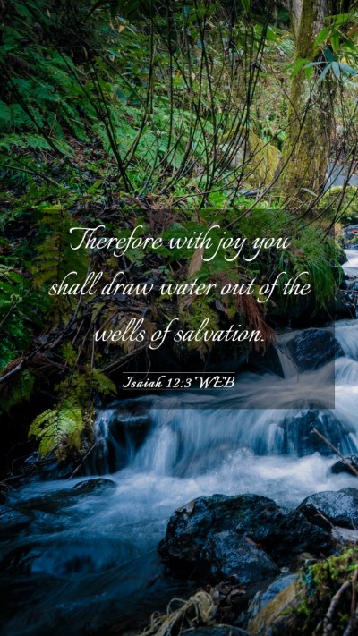 Picture 03 - Isaiah 12:3 WEB Mobile Phone Wallpaper - Therefore with joy you shall draw water out of - Mobile Bible Verse Wallpaper