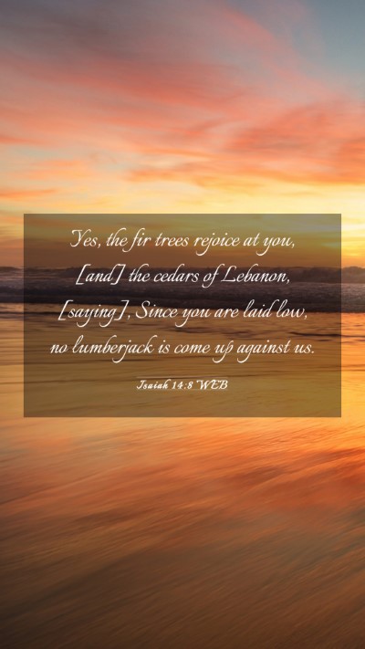 Picture 03 - Isaiah 14:8 WEB Mobile Phone Wallpaper - Yes, the fir trees rejoice at you, [and] the - Mobile Bible Verse Wallpaper