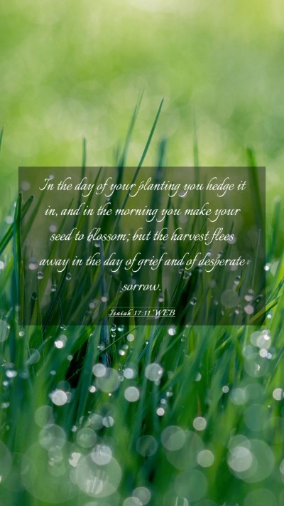 Picture 03 - Isaiah 17:11 WEB Mobile Phone Wallpaper - In the day of your planting you hedge it in, and - Mobile Bible Verse Wallpaper