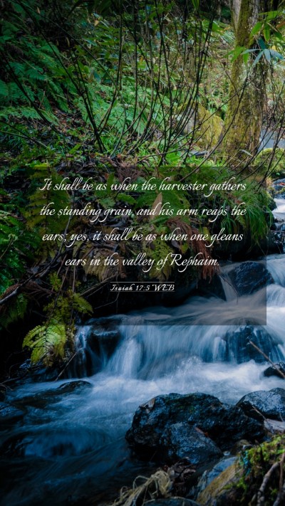 Picture 03 - Isaiah 17:5 WEB Mobile Phone Wallpaper - It shall be as when the harvester gathers the - Mobile Bible Verse Wallpaper
