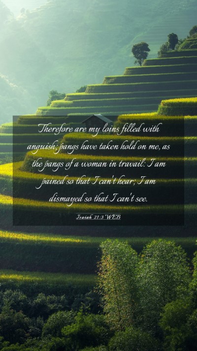 Picture 03 - Isaiah 21:3 WEB Mobile Phone Wallpaper - Therefore are my loins filled with anguish; pangs - Mobile Bible Verse Wallpaper