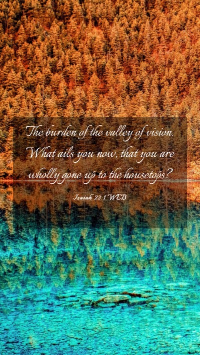 Picture 03 - Isaiah 22:1 WEB Mobile Phone Wallpaper - The burden of the valley of vision. What ails you - Mobile Bible Verse Wallpaper