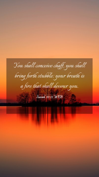 Picture 03 - Isaiah 33:11 WEB Mobile Phone Wallpaper - You shall conceive chaff, you shall bring forth - Mobile Bible Verse Wallpaper