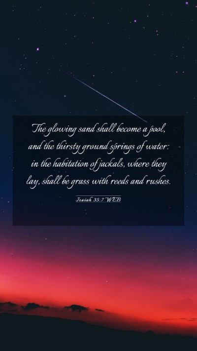 Picture 03 - Isaiah 35:7 WEB Mobile Phone Wallpaper - The glowing sand shall become a pool, and the - Mobile Bible Verse Wallpaper