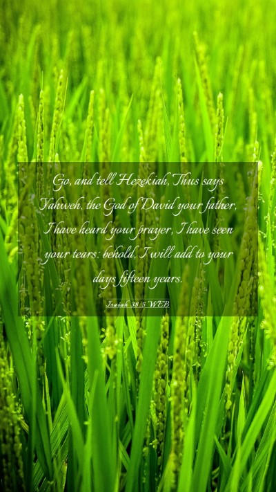 Picture 03 - Isaiah 38:5 WEB Mobile Phone Wallpaper - Go, and tell Hezekiah, Thus says Yahweh, the God - Mobile Bible Verse Wallpaper