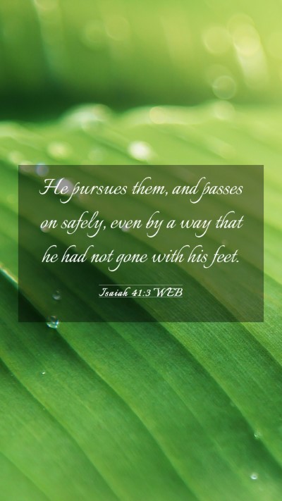 Picture 03 - Isaiah 41:3 WEB Mobile Phone Wallpaper - He pursues them, and passes on safely, even by a - Mobile Bible Verse Wallpaper