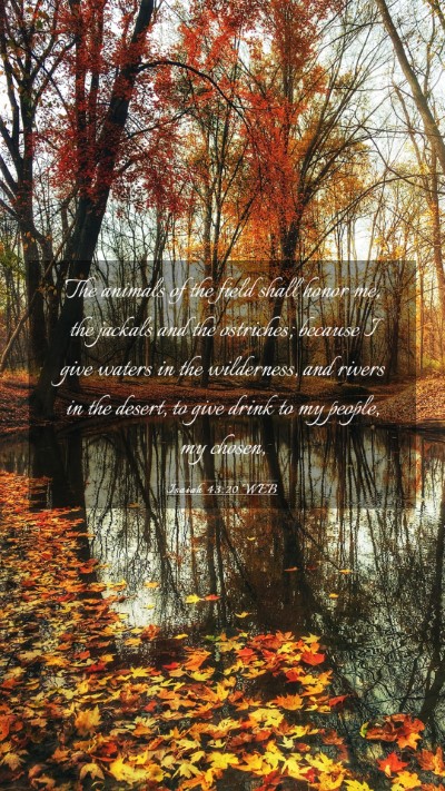 Picture 03 - Isaiah 43:20 WEB Mobile Phone Wallpaper - The animals of the field shall honor me, the - Mobile Bible Verse Wallpaper