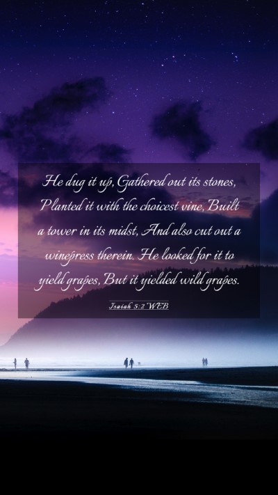 Picture 03 - Isaiah 5:2 WEB Mobile Phone Wallpaper - He dug it up, Gathered out its stones, Planted it - Mobile Bible Verse Wallpaper