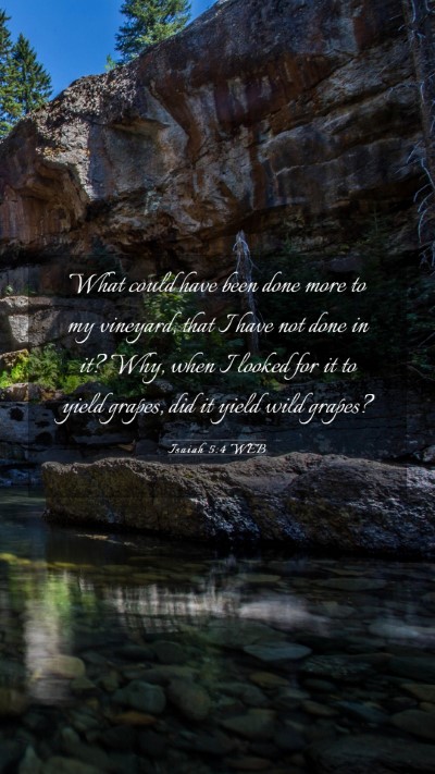 Picture 03 - Isaiah 5:4 WEB Mobile Phone Wallpaper - What could have been done more to my vineyard, - Mobile Bible Verse Wallpaper