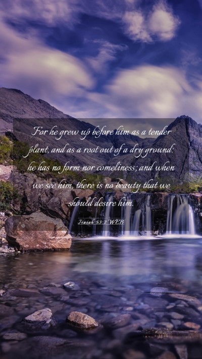 Picture 03 - Isaiah 53:2 WEB Mobile Phone Wallpaper - For he grew up before him as a tender plant, and - Mobile Bible Verse Wallpaper