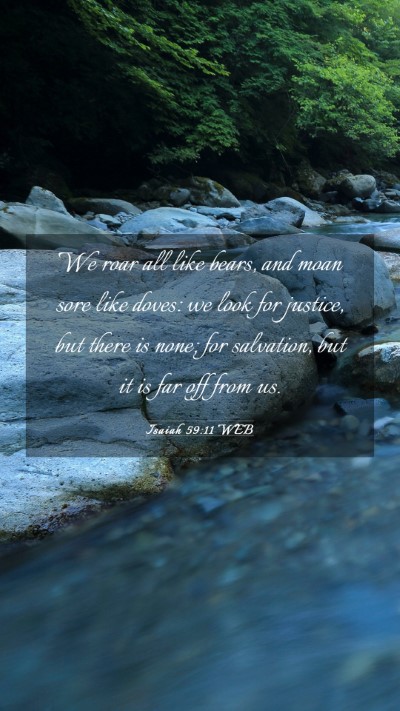 Picture 03 - Isaiah 59:11 WEB Mobile Phone Wallpaper - We roar all like bears, and moan sore like doves: - Mobile Bible Verse Wallpaper
