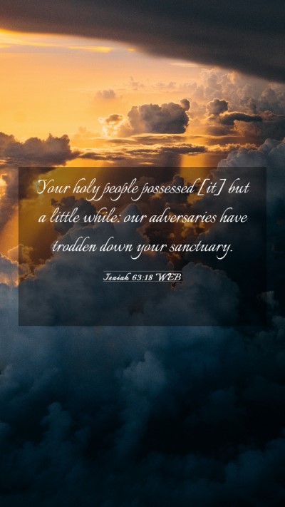 Picture 03 - Isaiah 63:18 WEB Mobile Phone Wallpaper - Your holy people possessed [it] but a little - Mobile Bible Verse Wallpaper