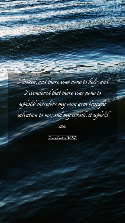 Picture 03 - Isaiah 63:5 WEB Mobile Phone Wallpaper - I looked, and there was none to help; and I - Mobile Bible Verse Wallpaper
