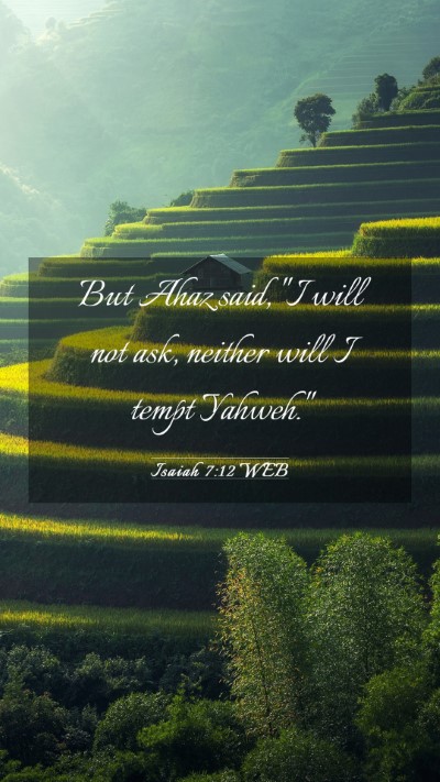 Picture 03 - Isaiah 7:12 WEB Mobile Phone Wallpaper - But Ahaz said, 