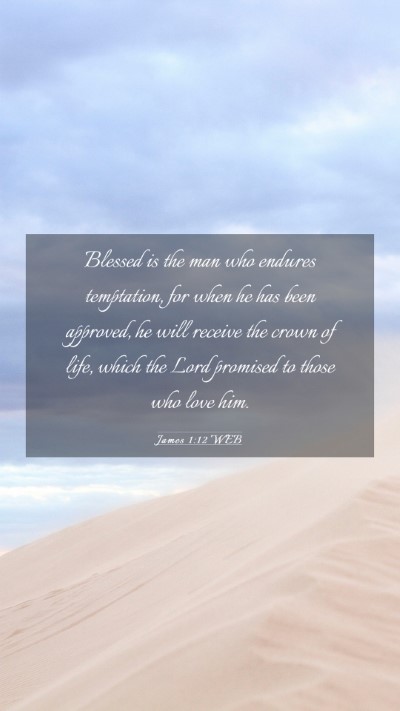 Picture 03 - James 1:12 WEB Mobile Phone Wallpaper - Blessed is the man who endures temptation, for - Mobile Bible Verse Wallpaper