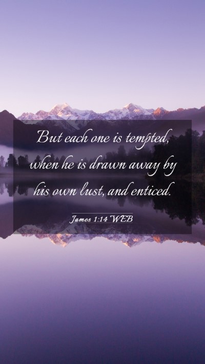 Picture 03 - James 1:14 WEB Mobile Phone Wallpaper - But each one is tempted, when he is drawn away by - Mobile Bible Verse Wallpaper