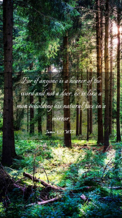 Picture 03 - James 1:23 WEB Mobile Phone Wallpaper - For if anyone is a hearer of the word and not a - Mobile Bible Verse Wallpaper