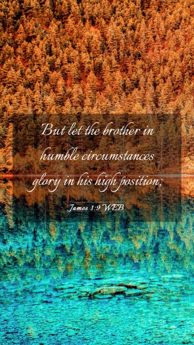 Picture 03 - James 1:9 WEB Mobile Phone Wallpaper - But let the brother in humble circumstances glory - Mobile Bible Verse Wallpaper
