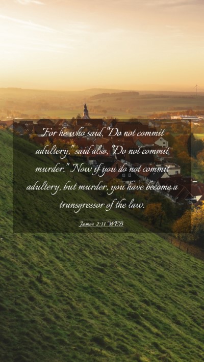 Picture 03 - James 2:11 WEB Mobile Phone Wallpaper - For he who said, 