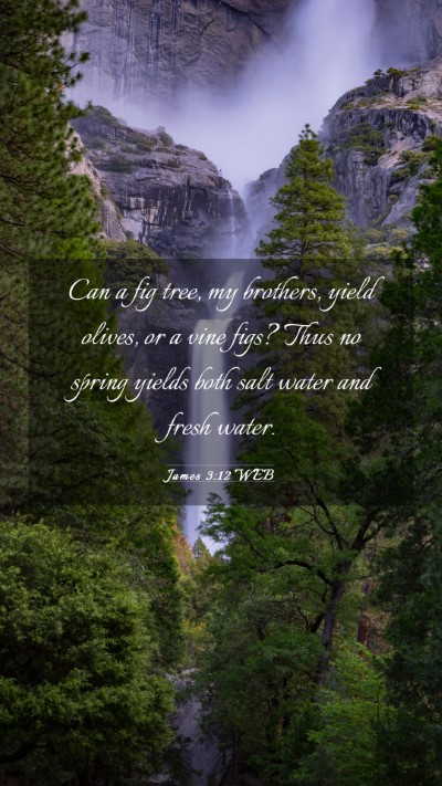 Picture 03 - James 3:12 WEB Mobile Phone Wallpaper - Can a fig tree, my brothers, yield olives, or a - Mobile Bible Verse Wallpaper