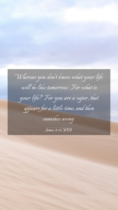 Picture 03 - James 4:14 WEB Mobile Phone Wallpaper - Whereas you don't know what your life will be - Mobile Bible Verse Wallpaper