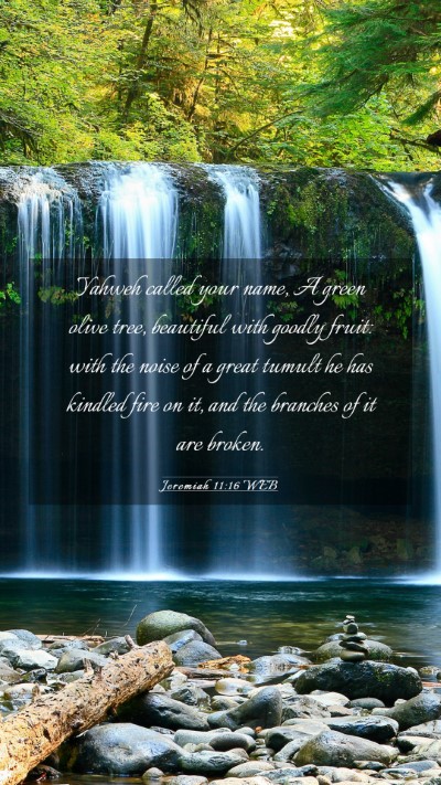 Picture 03 - Jeremiah 11:16 WEB Mobile Phone Wallpaper - Yahweh called your name, A green olive tree, - Mobile Bible Verse Wallpaper