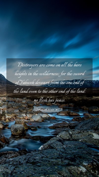 Picture 03 - Jeremiah 12:12 WEB Mobile Phone Wallpaper - Destroyers are come on all the bare heights in - Mobile Bible Verse Wallpaper