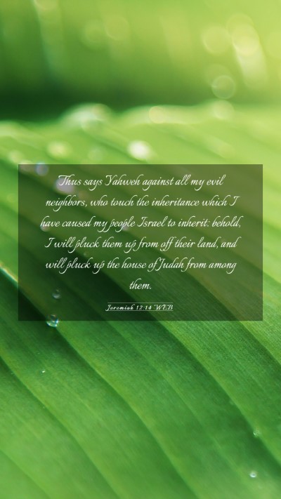 Picture 03 - Jeremiah 12:14 WEB Mobile Phone Wallpaper - Thus says Yahweh against all my evil neighbors, - Mobile Bible Verse Wallpaper