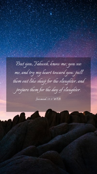 Picture 03 - Jeremiah 12:3 WEB Mobile Phone Wallpaper - But you, Yahweh, know me; you see me, and try my - Mobile Bible Verse Wallpaper