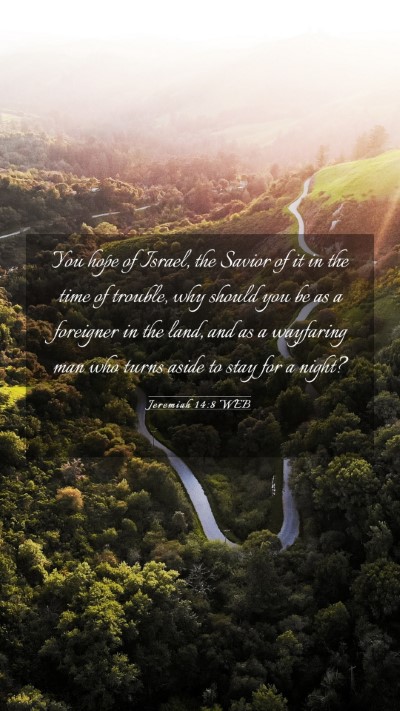 Picture 03 - Jeremiah 14:8 WEB Mobile Phone Wallpaper - You hope of Israel, the Savior of it in the time - Mobile Bible Verse Wallpaper