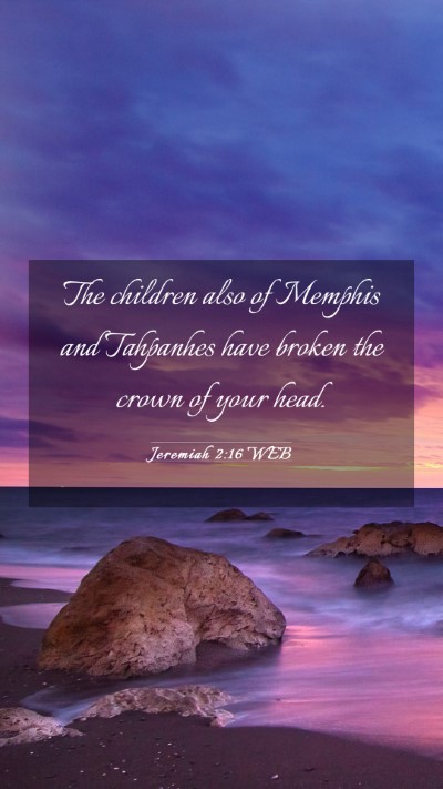 Picture 03 - Jeremiah 2:16 WEB Mobile Phone Wallpaper - The children also of Memphis and Tahpanhes have - Mobile Bible Verse Wallpaper