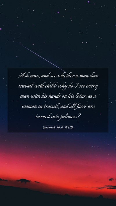 Picture 03 - Jeremiah 30:6 WEB Mobile Phone Wallpaper - Ask now, and see whether a man does travail with - Mobile Bible Verse Wallpaper