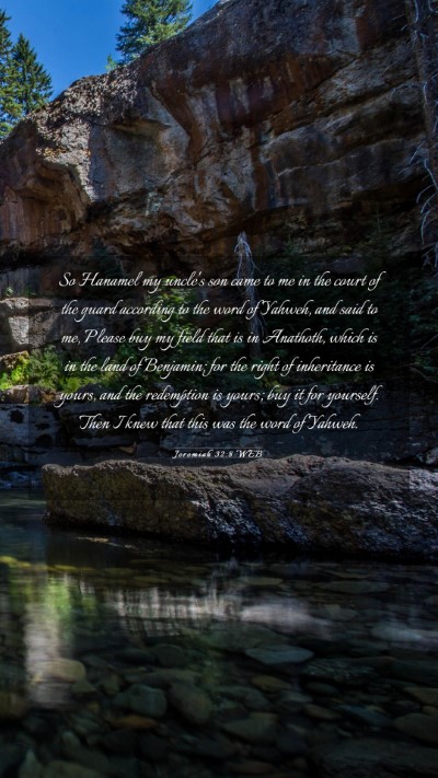 Picture 03 - Jeremiah 32:8 WEB Mobile Phone Wallpaper - So Hanamel my uncle's son came to me in the court - Mobile Bible Verse Wallpaper