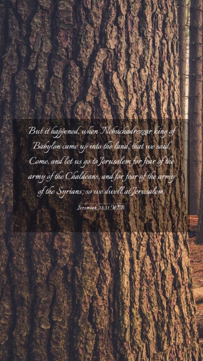 Picture 03 - Jeremiah 35:11 WEB Mobile Phone Wallpaper - But it happened, when Nebuchadrezzar king of - Mobile Bible Verse Wallpaper