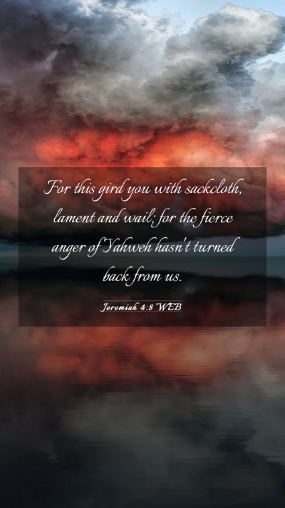 Picture 03 - Jeremiah 4:8 WEB Mobile Phone Wallpaper - For this gird you with sackcloth, lament and - Mobile Bible Verse Wallpaper
