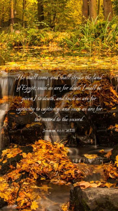 Picture 03 - Jeremiah 43:11 WEB Mobile Phone Wallpaper - He shall come, and shall strike the land of - Mobile Bible Verse Wallpaper