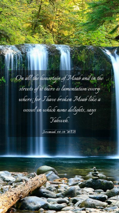 Picture 03 - Jeremiah 48:38 WEB Mobile Phone Wallpaper - On all the housetops of Moab and in the streets - Mobile Bible Verse Wallpaper
