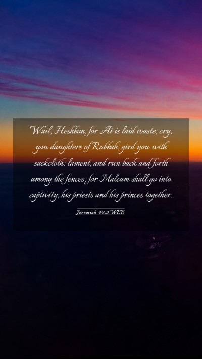 Picture 03 - Jeremiah 49:3 WEB Mobile Phone Wallpaper - Wail, Heshbon, for Ai is laid waste; cry, you - Mobile Bible Verse Wallpaper
