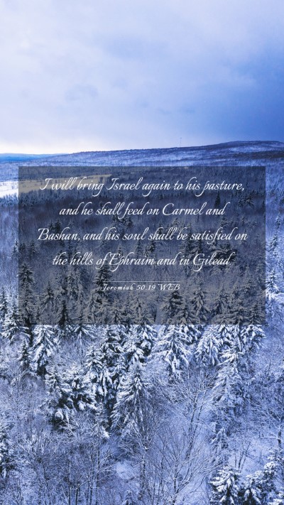 Picture 03 - Jeremiah 50:19 WEB Mobile Phone Wallpaper - I will bring Israel again to his pasture, and he - Mobile Bible Verse Wallpaper