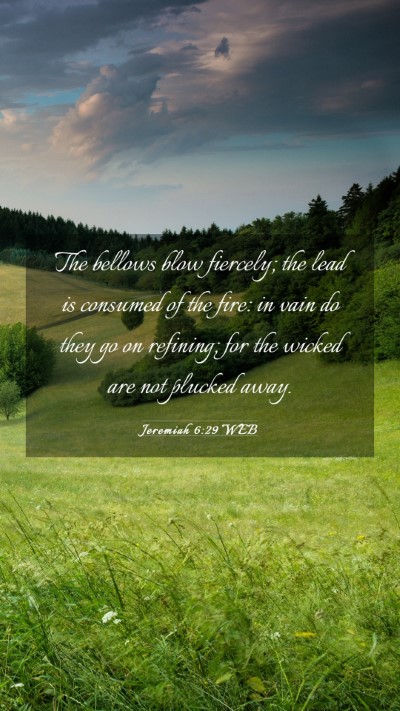 Picture 03 - Jeremiah 6:29 WEB Mobile Phone Wallpaper - The bellows blow fiercely; the lead is consumed - Mobile Bible Verse Wallpaper
